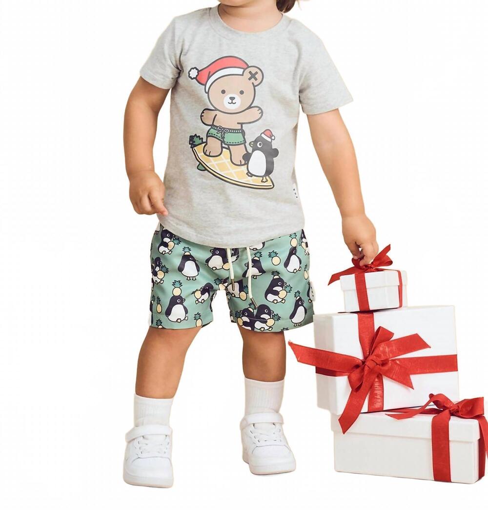 NEW HUXBABY boy's surfn' festive hux t-shirt in grey